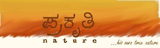 a common man ಸಂಜಯ